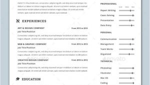 Professional Fonts for Resume 30 Best Resume Template Designs 2019 Bashooka