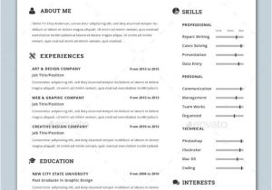 Professional Fonts for Resume 30 Best Resume Template Designs 2019 Bashooka