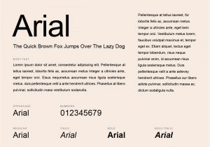 Professional Fonts for Resume What Fonts Should You Use for Your Resume