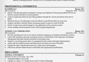 Professional Hr Consultant Resume Hr Professional Consultant Resume Resumecompanion Com