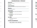 Professional Job Interview Resume format Functional Resume Template when to Select Functional