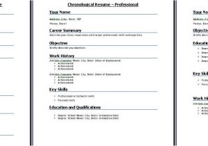 Professional Job Interview Resume format Functional Resume Template when to Select Functional