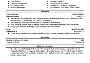 Professional Job Resume Experienced Resume Templates to Impress Any Employer