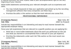 Professional Job Resume Template Free 40 top Professional Resume Templates