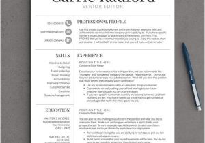 Professional Looking Resume 81 Best Resume Ideas Images On Pinterest