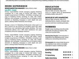 Professional Looking Resume Professional Looking Resume Templates Free Samples