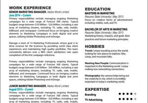 Professional Looking Resume Professional Looking Resume Templates Free Samples