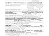 Professional organizer Contract Template Non Compete Agreement form Non Compete Clause with