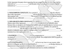 Professional organizer Contract Template Non Compete Agreement form Non Compete Clause with