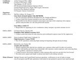Professional Pilot Resume 25 Best Professional Resume Examples for Your Next Job