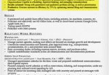 Professional Profile Resume Create A Resume Profile Steps Tips Examples Resume