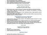 Professional Profile Resume How to Write A Resume Profile Examples Writing Guide Rg