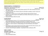 Professional Profile Resume How to Write A Resume Profile Examples Writing Guide Rg