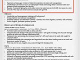 Professional Profile Resume Resume Profile Examples Writing Guide Resume Companion