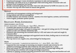 Professional Profile Resume Resume Profile Examples Writing Guide Resume Companion