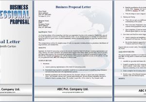 Professional Proposal Templates Microsoft Word Business Proposal Template Microsoft Word Sanjonmotel