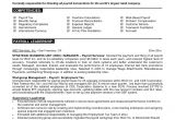 Professional Resume 7 Samples Of Professional Resumes Sample Resumes