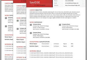 Professional Resume Design Templates Clean Professional Resume Design3edge Com