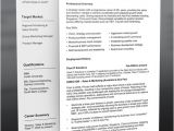 Professional Resume Design Templates Professional Resume Template Free Can Help You to Start