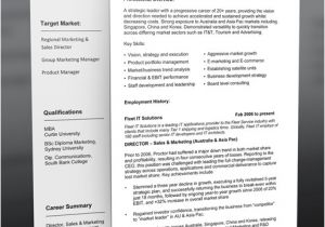 Professional Resume Design Templates Professional Resume Template Free Can Help You to Start