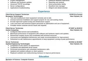 Professional Resume Examples 11 Amazing It Resume Examples Livecareer