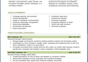 Professional Resume Examples 7 Samples Of Professional Resumes Sample Resumes