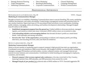 Professional Resume Examples Mid Career Resume Sample Professional Resume Examples