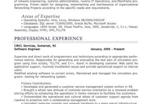 Professional Resume Examples Professional Level Resume Samples Resumesplanet Com