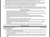 Professional Resume Examples Proffesional Resume Resume Cv