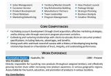 Professional Resume Examples Resume Samples Types Of Resume formats Examples Templates