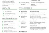 Professional Resume format Download 26 Word Professional Resume Template Free Download