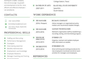 Professional Resume format Download 26 Word Professional Resume Template Free Download