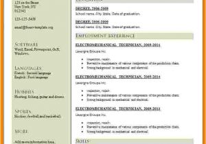 Professional Resume format Download 5 Cv format Professional Free Download theorynpractice