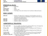 Professional Resume format Download 7 Curriculum Vitae Download Word theorynpractice