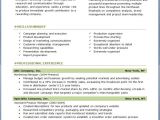 Professional Resume format Download Free Professional Resume Templates Download Free
