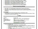 Professional Resume format Download Over 10000 Cv and Resume Samples with Free Download