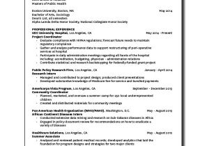 Professional Resume format Professional Resume Example 7 Samples In Pdf