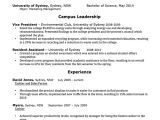 Professional Resume format Word Cv Template Free Professional Resume Templates Word