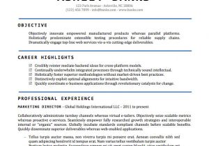 Professional Resume format Word Doc Resume Template Word Doc Fee Schedule Template