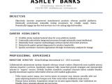Professional Resume format Word Document Resume Template Word Doc Fee Schedule Template