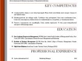 Professional Resume format Word Document Word Resume Templates 2016