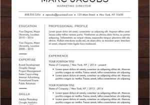 Professional Resume format Word Modern Resume Template Cv Template for Pages Word
