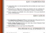 Professional Resume format Word Word Resume Templates 2016