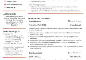Professional Resume Layout Best Resume Layout 2019 Guide with 50 Examples and Samples