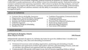 Professional Resume Services Click Here to Download This Customer Service Professional
