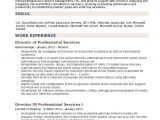 Professional Resume Services Director Of Professional Services Resume Samples Qwikresume