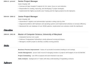 Professional Resume Template 20 Cv Templates Download A Professional Curriculum Vitae