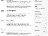 Professional Resume Template 20 Resume Templates Download A Professional Resume In 5
