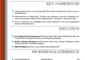 Professional Resume Template Examples Guru Essay Writer Com Close Up Number One Place to