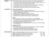 Professional Resume Template Examples Professional Resume Example Learn From Professional